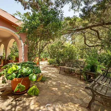 Atzeni - Terrace, Two Patios & Lush Garden *