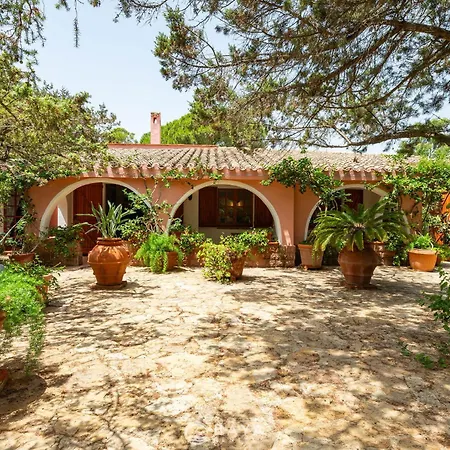 Atzeni - Terrace, Two Patios&lush Garden Villa Notteri